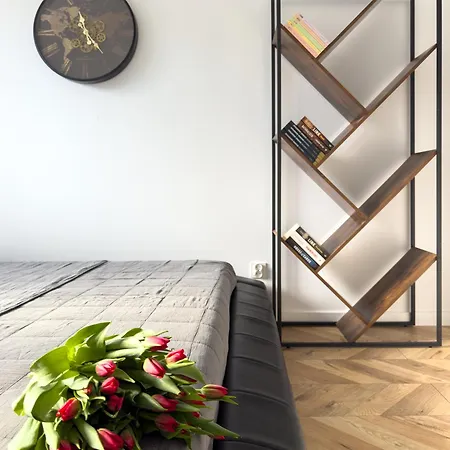 Apartment Bjork Jelenia Gora